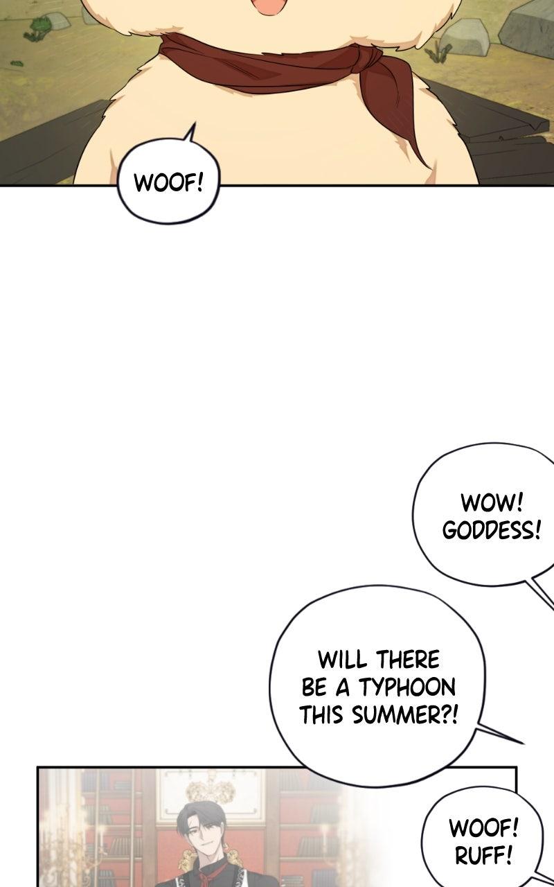 Mr. Delivery Knight Chapter 36 - Page 61