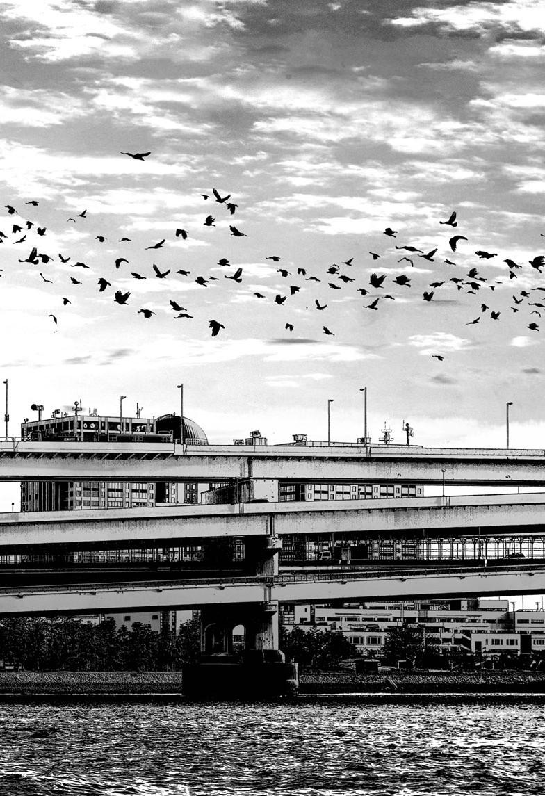 Mujina in to the Deep - Chapter 5.5 - 27