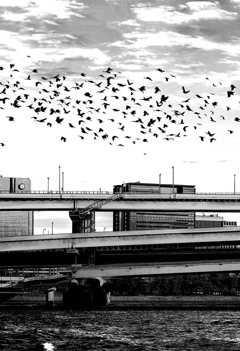 Mujina in to the Deep - Chapter 5.5 - 28