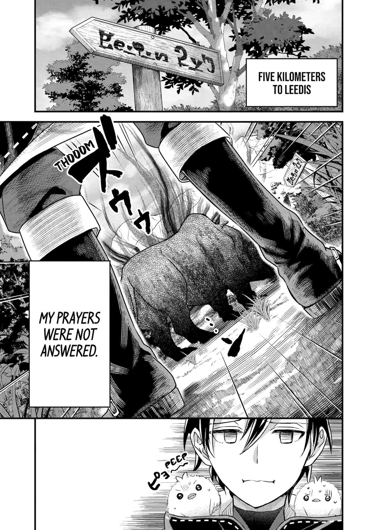 My Adventurer Life: I Became the Strongest Magic-Refining Sage in a New World Chapter 29 - Page 17