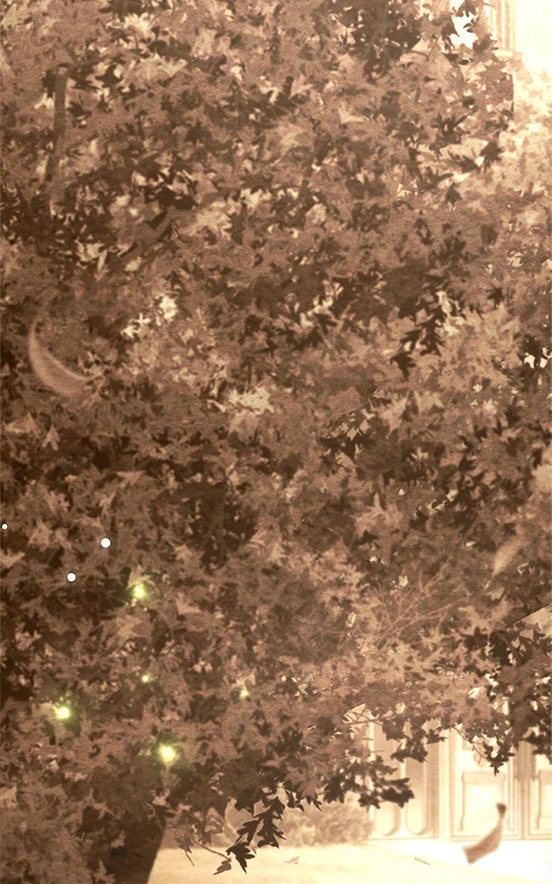 My Aggravating Sovereign Chapter 38 - Page 40