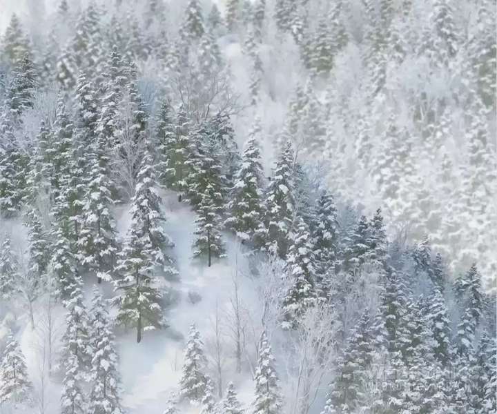 My Benefactor Is Not a Scholar Chapter 94 - Page 123