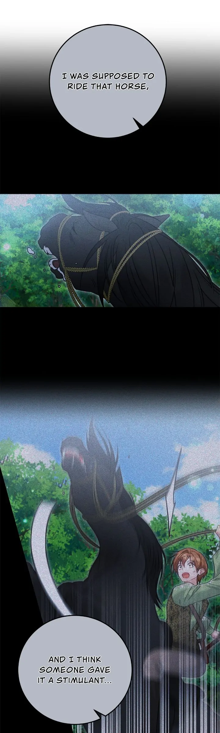 My Favorite Novel Has a Weird Epilogue Chapter 47 - Page 9