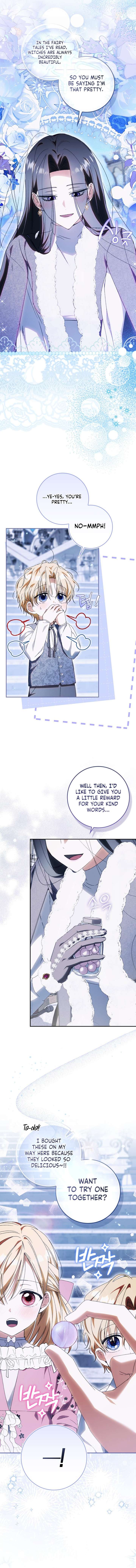 My Husband Is My Ultimate Bias, but I Think He Wants a Divorce Chapter 16 - Page 5