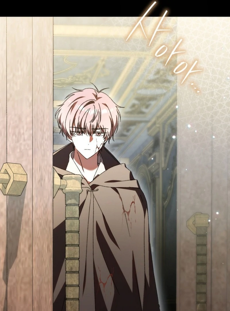 My Husband Is My Ultimate Bias, but I Think He Wants a Divorce Chapter 22 - Page 65