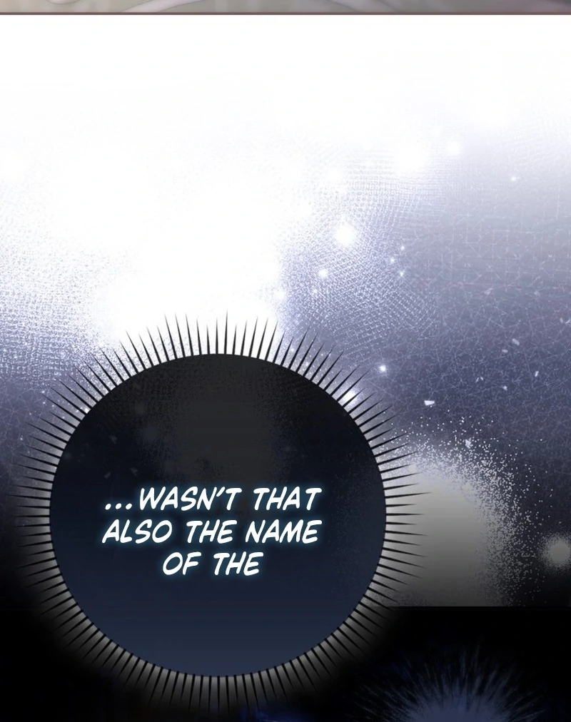 My Husband Is My Ultimate Bias, but I Think He Wants a Divorce Chapter 22 - Page 83