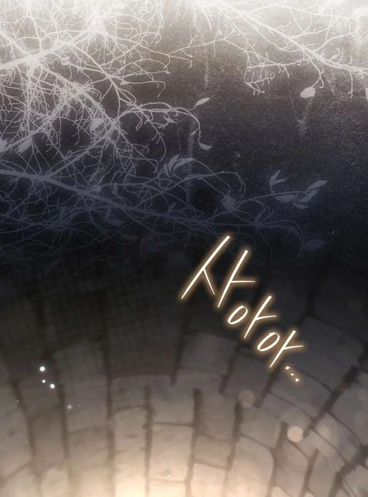 My Husband Is My Ultimate Bias, but I Think He Wants a Divorce Chapter 23 - Page 5