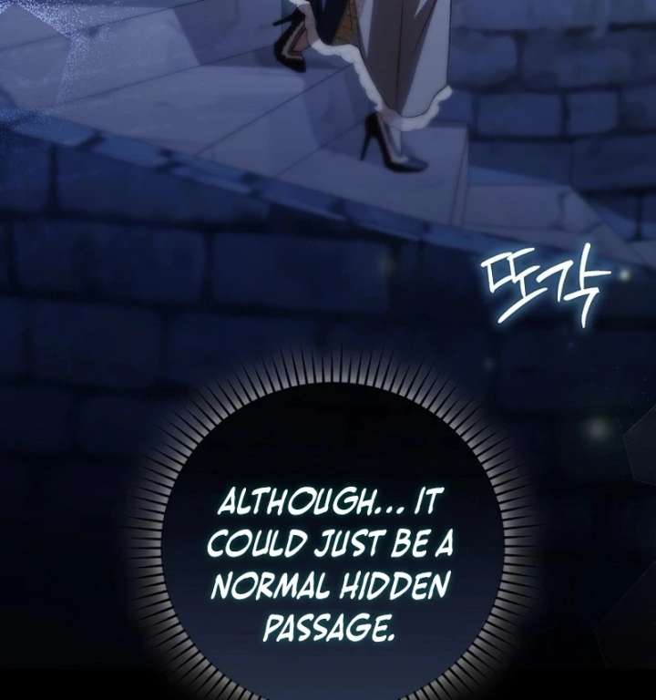 My Husband Is My Ultimate Bias, but I Think He Wants a Divorce Chapter 23 - Page 13