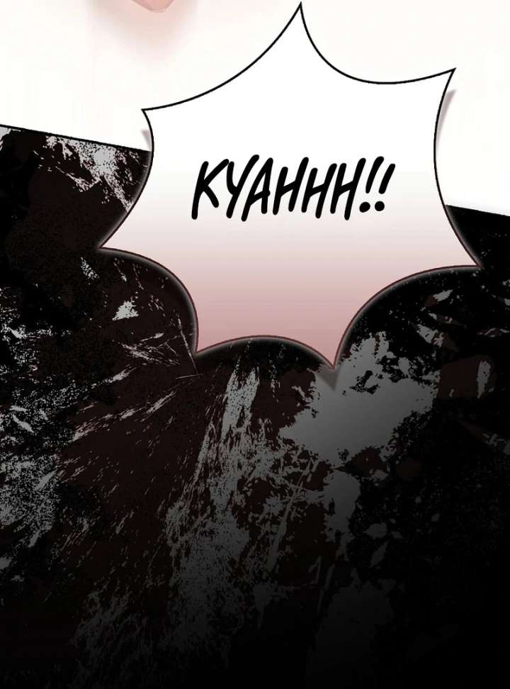 My Husband Is My Ultimate Bias, but I Think He Wants a Divorce Chapter 23 - Page 67