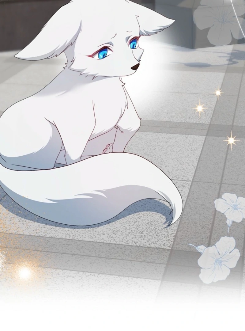 My Kidnapper Is My Arranged Marriage Partner?! - Chapter 17 - 9