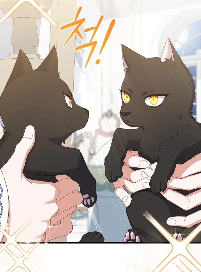 My Kidnapper Is My Arranged Marriage Partner?! - Chapter 17 - 31