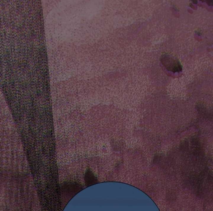 My Second Husband Is Desperate And Depressed Chapter 145 - Page 153