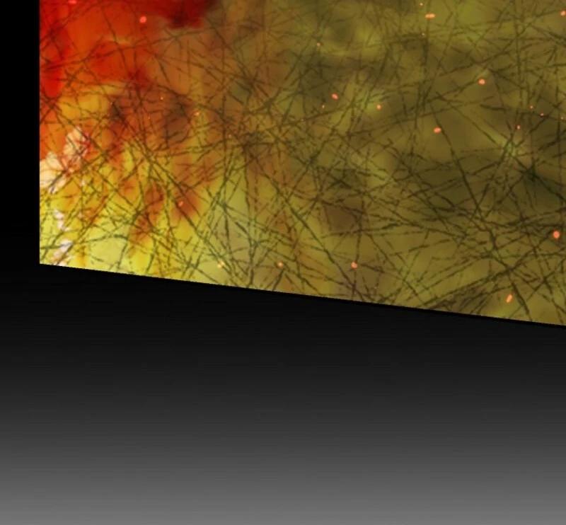 My Villain Fiancé is Interfering With My Flowery Path Chapter 61 - Page 29