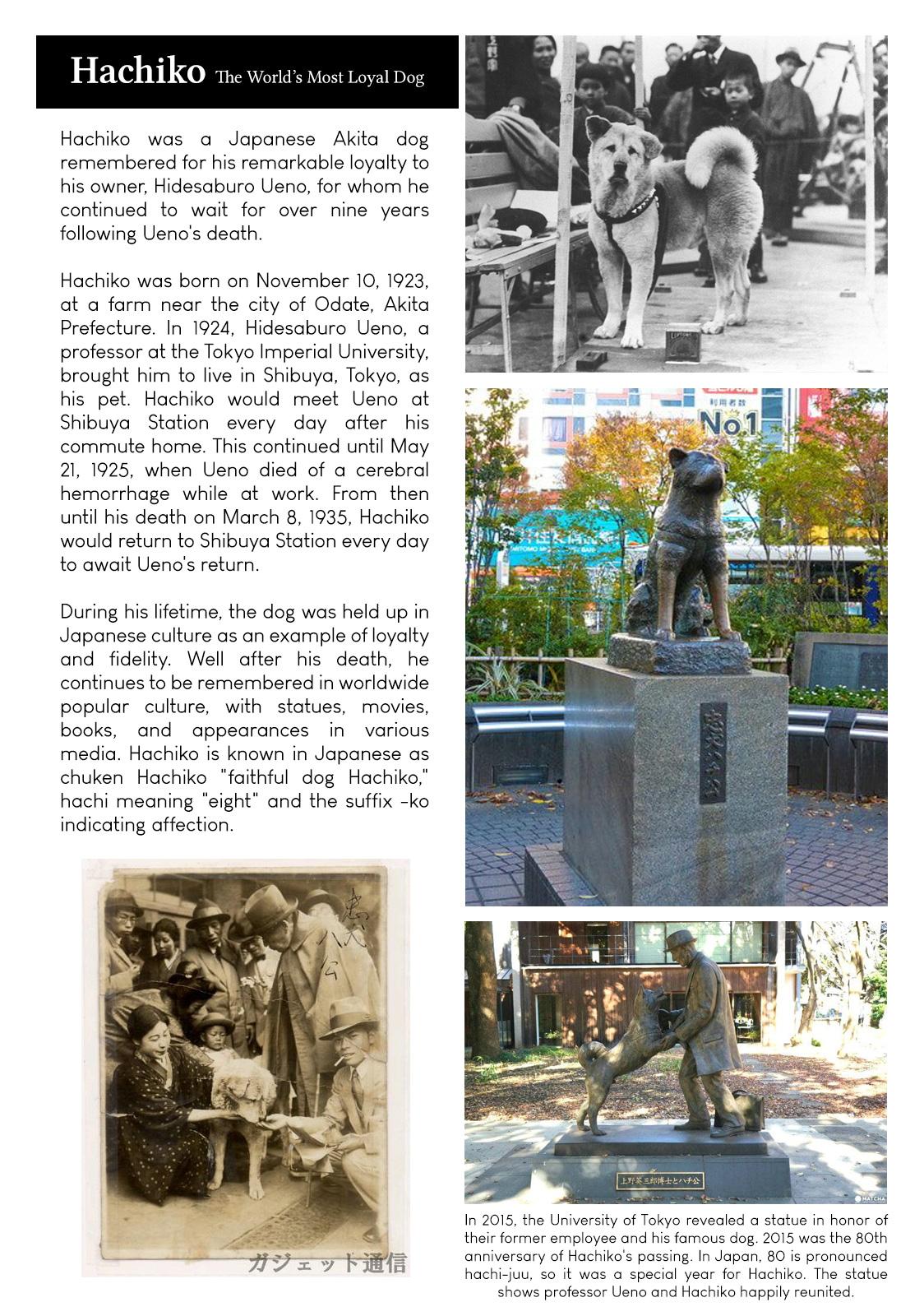 Namida Ame to Serenade Chapter 9 - Page 27