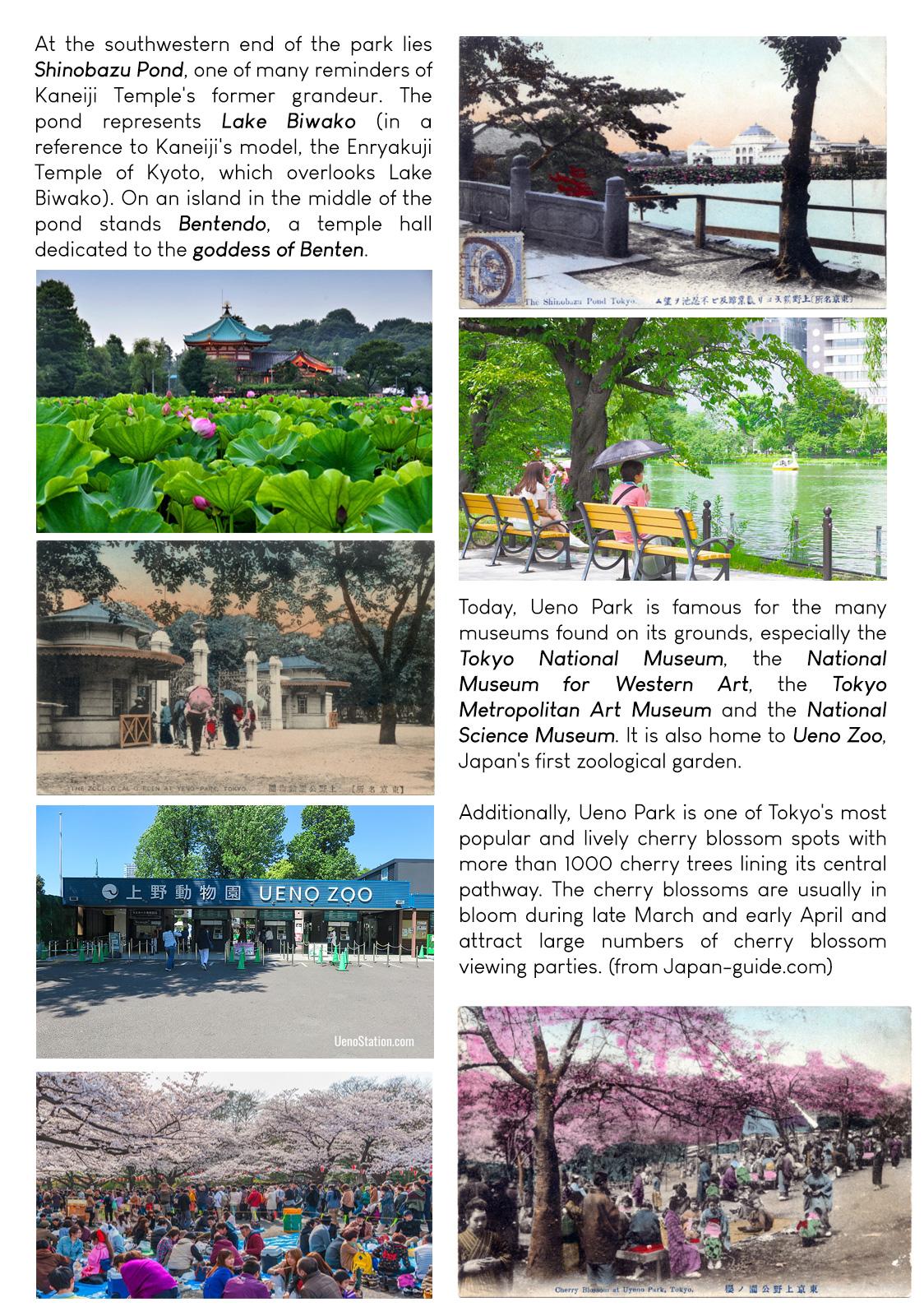 Namida Ame to Serenade Chapter 9 - Page 31