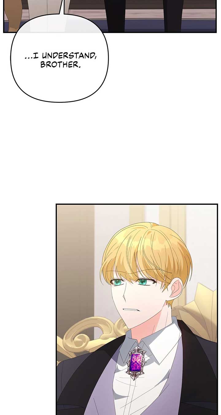 No, I Only Charmed the Princess! Chapter 69 - Page 45