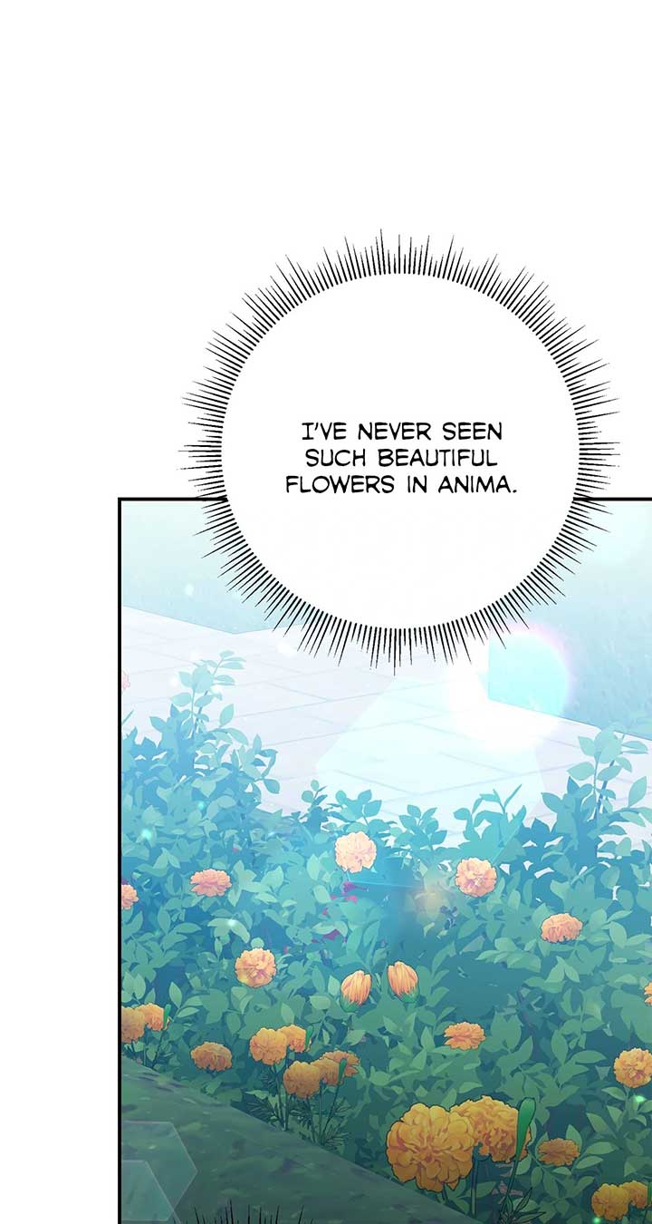 No, I Only Charmed the Princess! Chapter 69 - Page 84