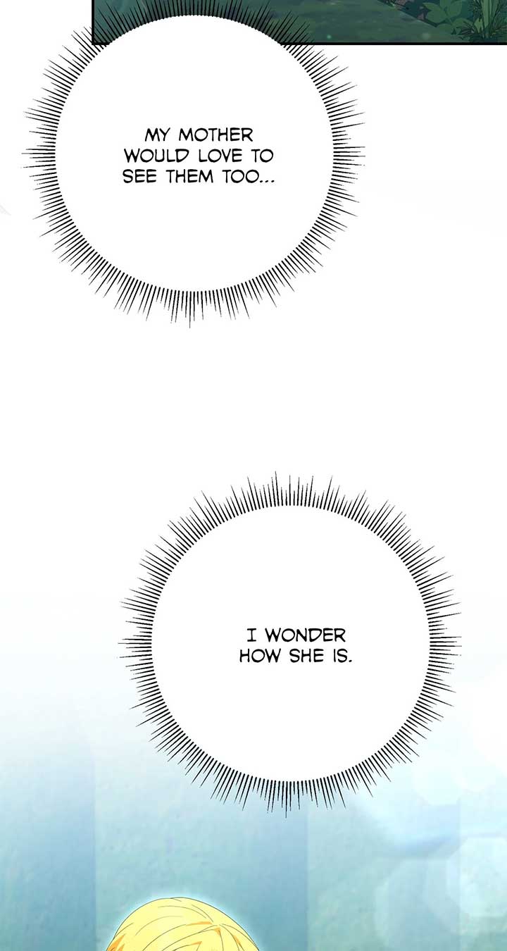 No, I Only Charmed the Princess! Chapter 69 - Page 85