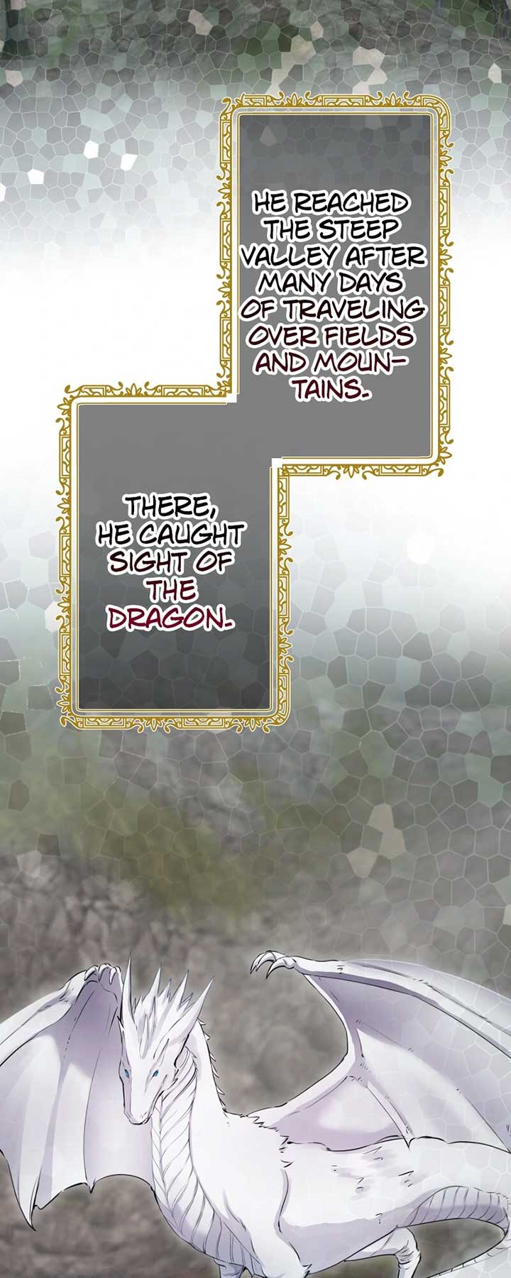 Nulliitas: The Half-Blood Royalty Chapter 205 - Page 13