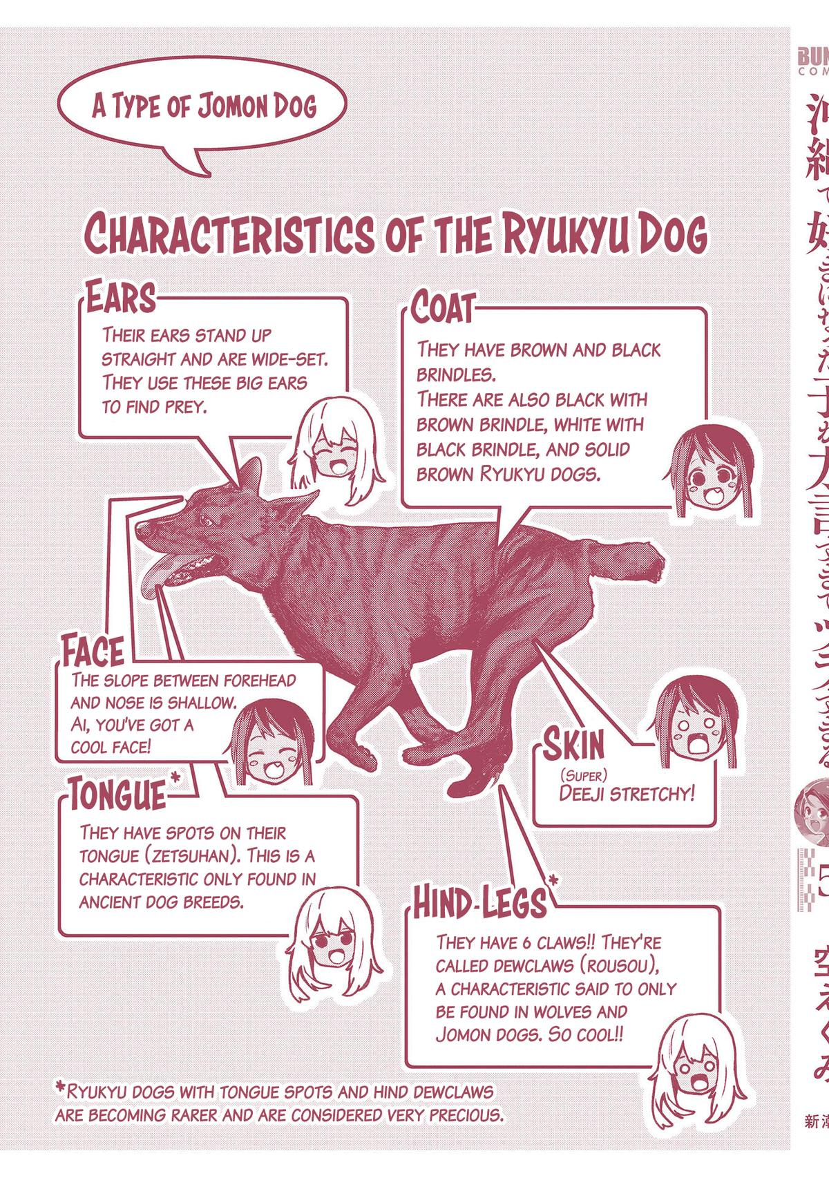 Okinawa de Suki ni Natta ko ga Hougen Sugite Tsura Sugiru Chapter 49.5 - Page 17