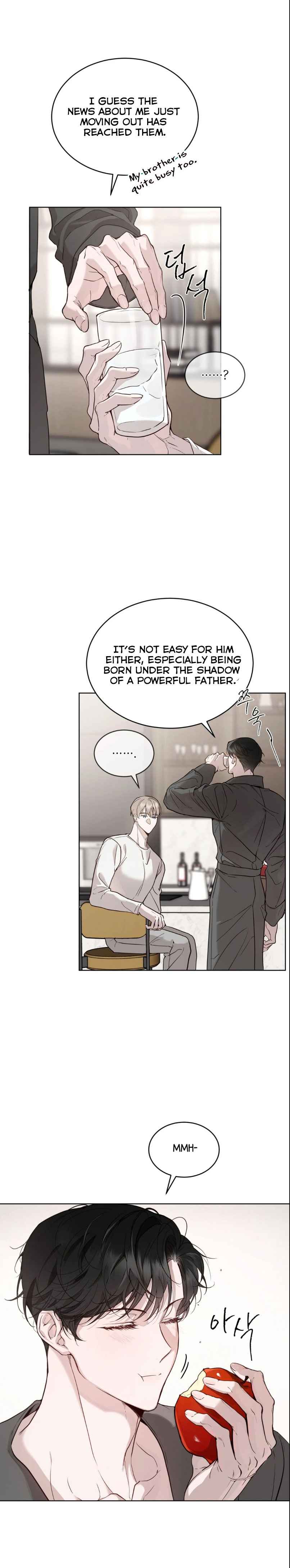 Passion Raga Chapter 24.5 - Page 47