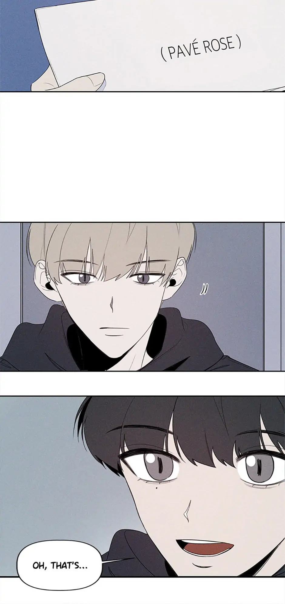 Pavé Rose Chapter 47 - Page 10