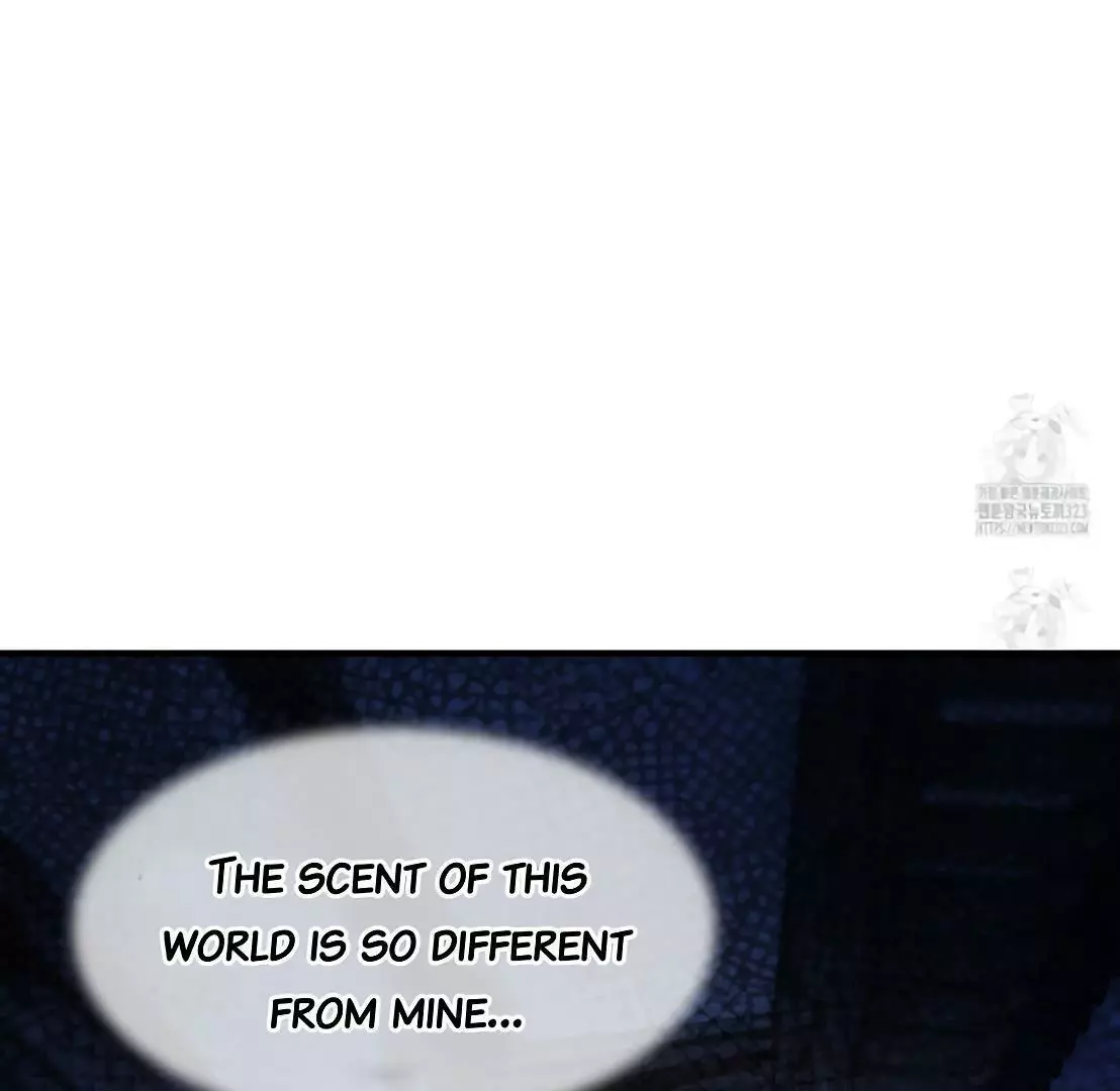 Piercing Stab Chapter 3 - Page 25