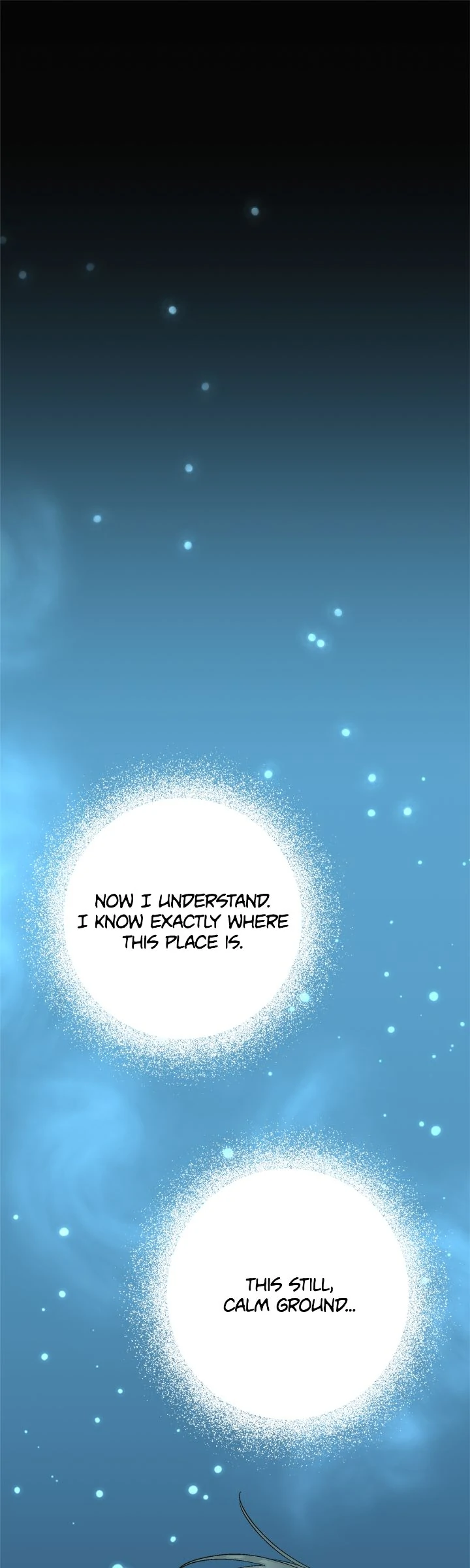 Please Cry, Crown Prince Chapter 88 - Page 10