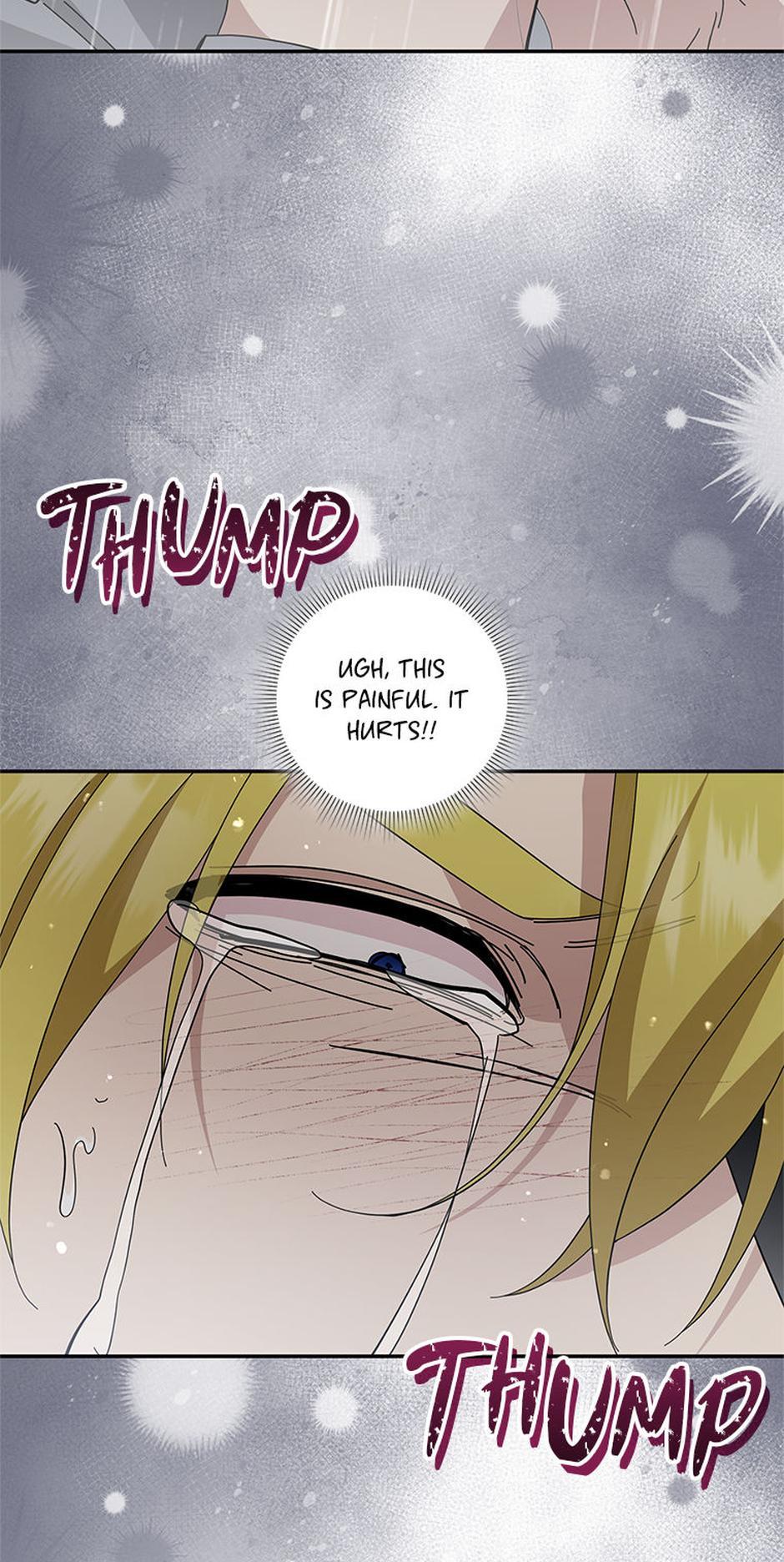 Please Support Revenge Chapter 102 - Page 7