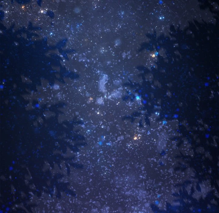 Pregnancy Contract Chapter 57 - Page 9