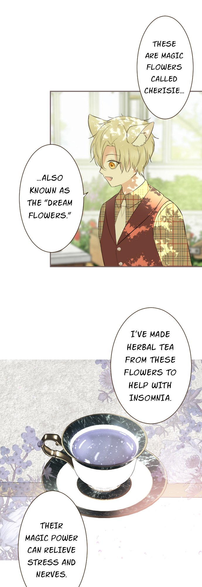 Protected by My Dragon Knight Chapter 146 - Page 6