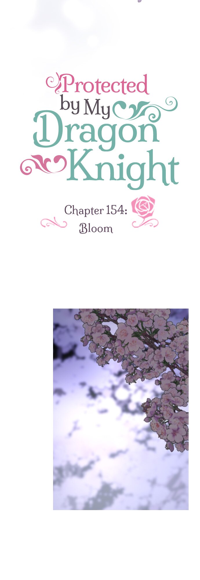 Protected by My Dragon Knight Chapter 154 - Page 5