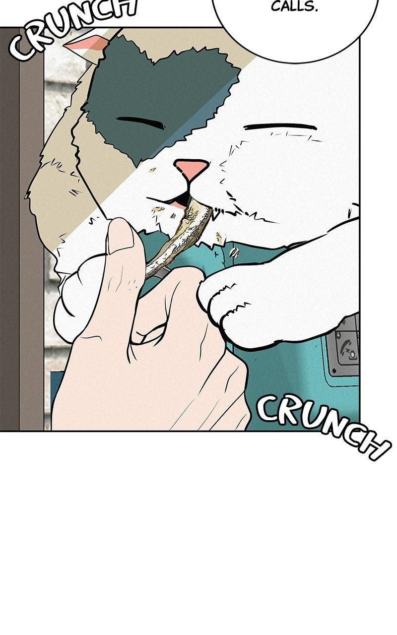 Radiant Rewind Chapter 62 - Page 24