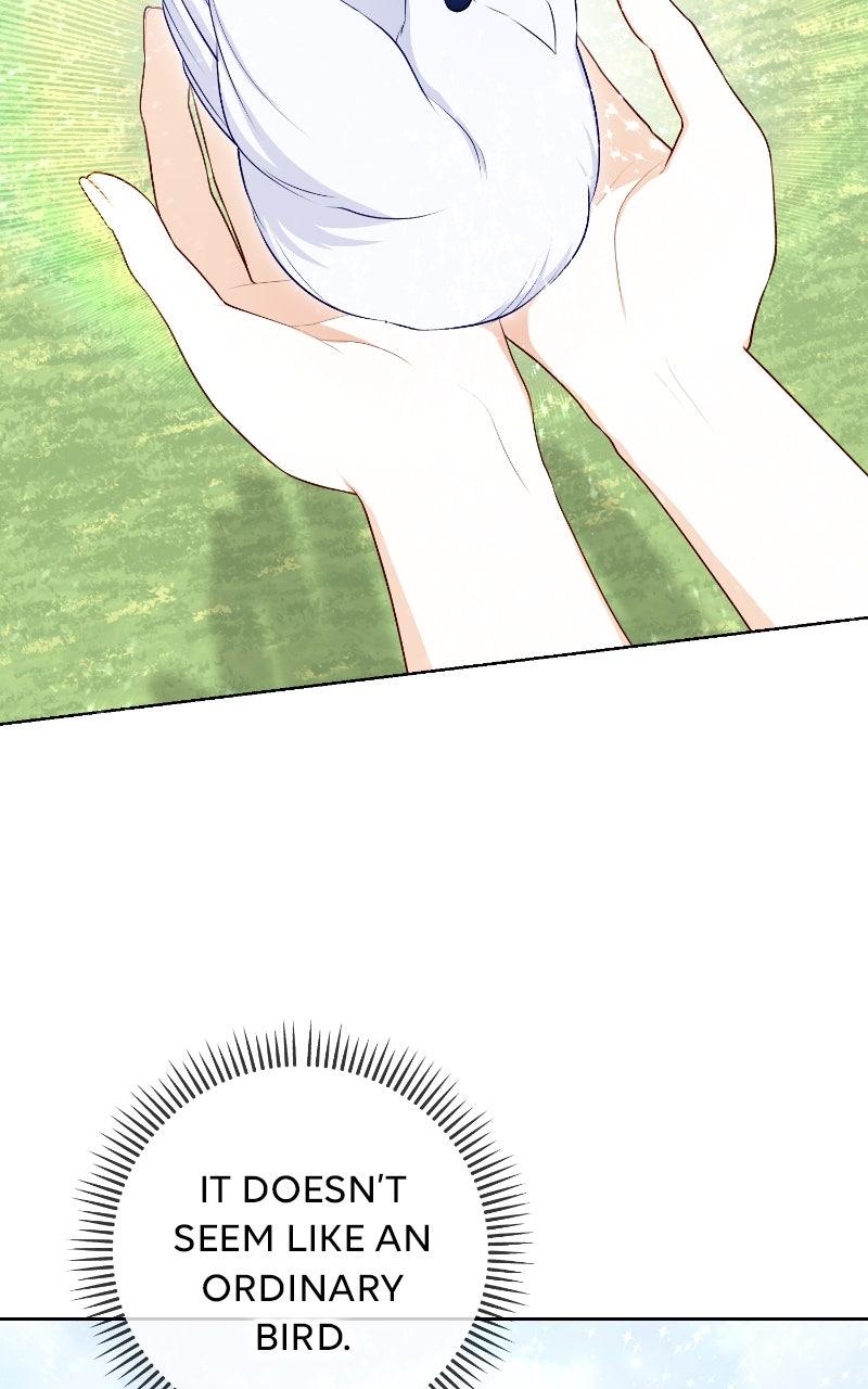 Raising the Second Male Lead's Son Chapter 15 - Page 83