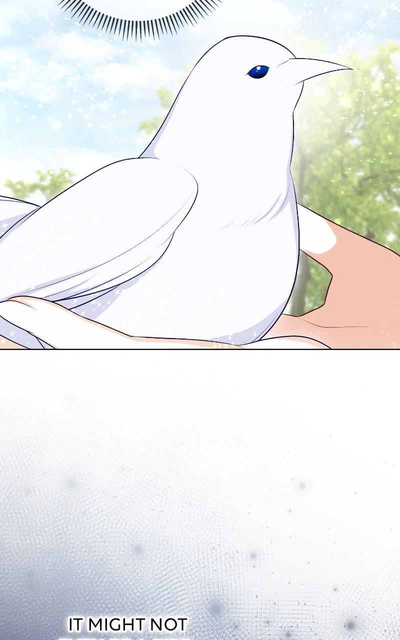 Raising the Second Male Lead's Son Chapter 15 - Page 84