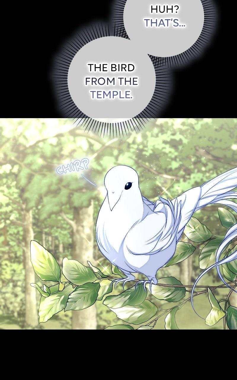 Raising the Second Male Lead's Son Chapter 18 - Page 76