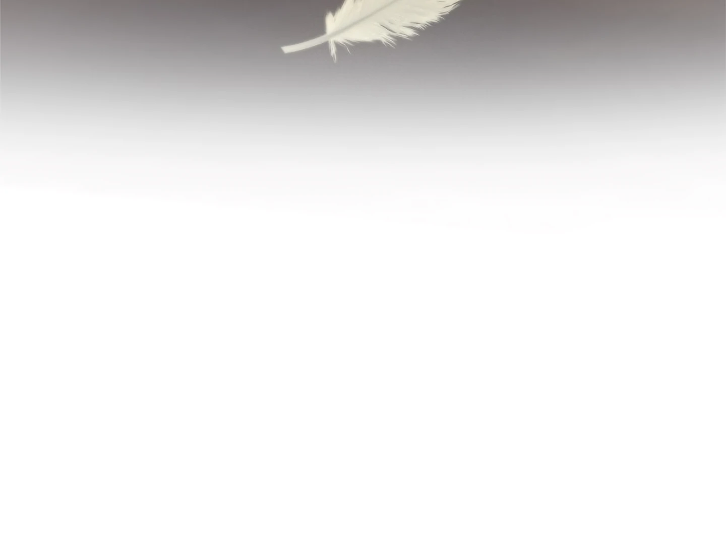 Regas Chapter 81 - Page 211