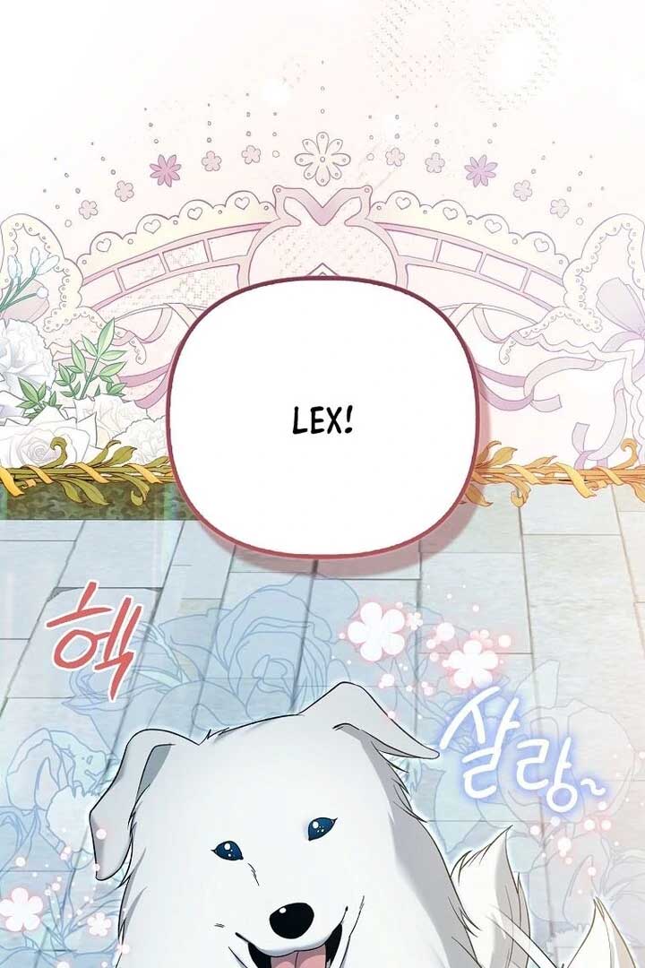 Rejecting The Perfect Marriage Chapter 2 - Page 64