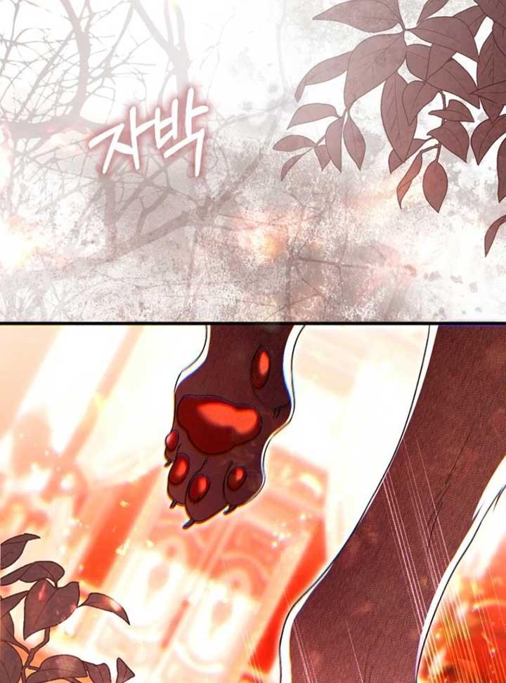 Rejecting The Perfect Marriage Chapter 36 - Page 70