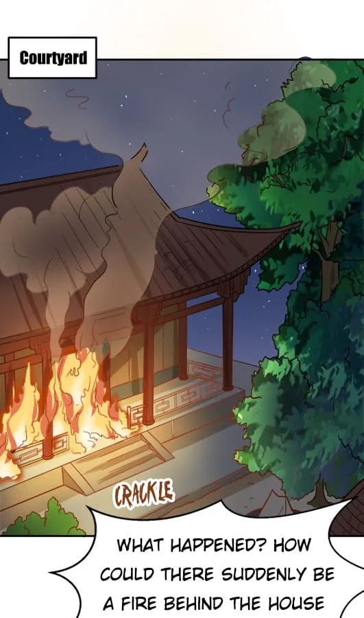 Reversal in Chaos - Chapter 14 - 25