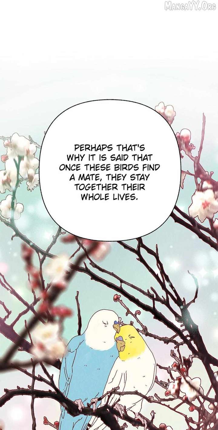 Royal Marriage (2024) Chapter 55 - Page 47