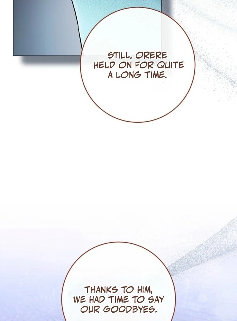 Royal Shop Of Young Lady - Chapter 181 - 25