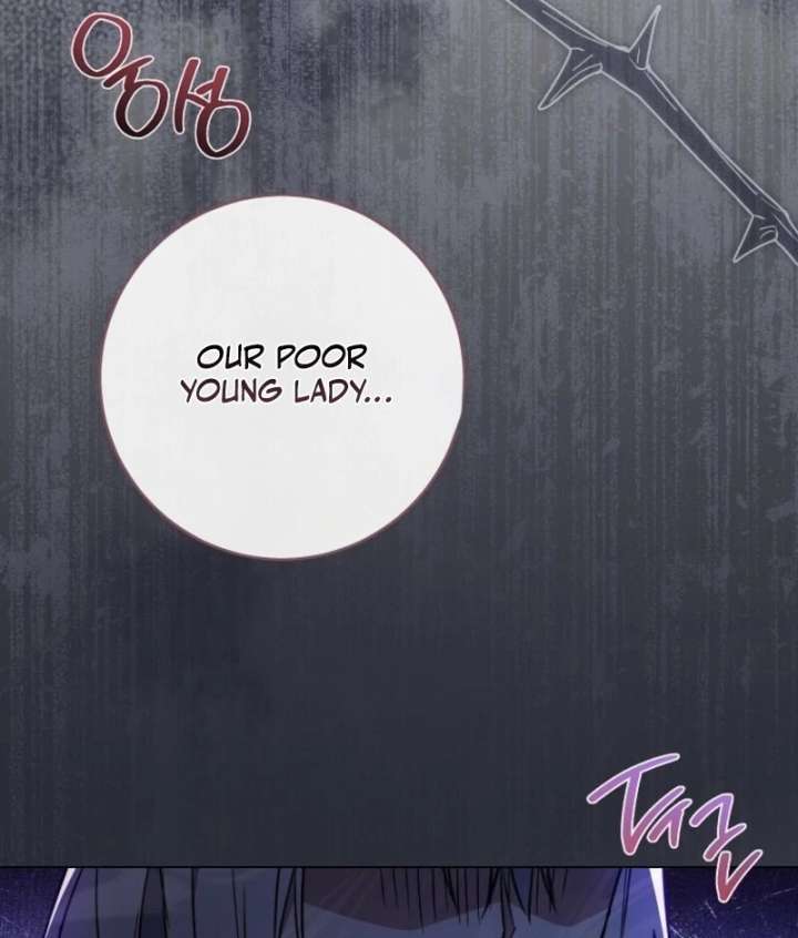 Royal Shop Of Young Lady - Chapter 185 - 81