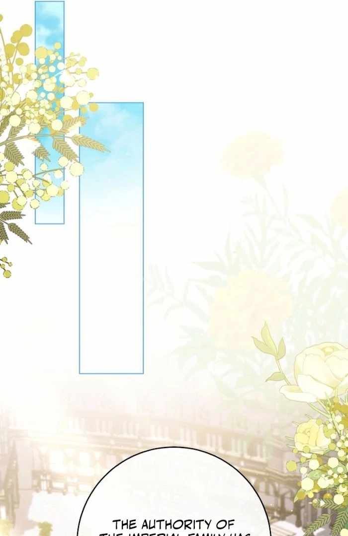 Royal Shop Of Young Lady - Chapter 187 - 50