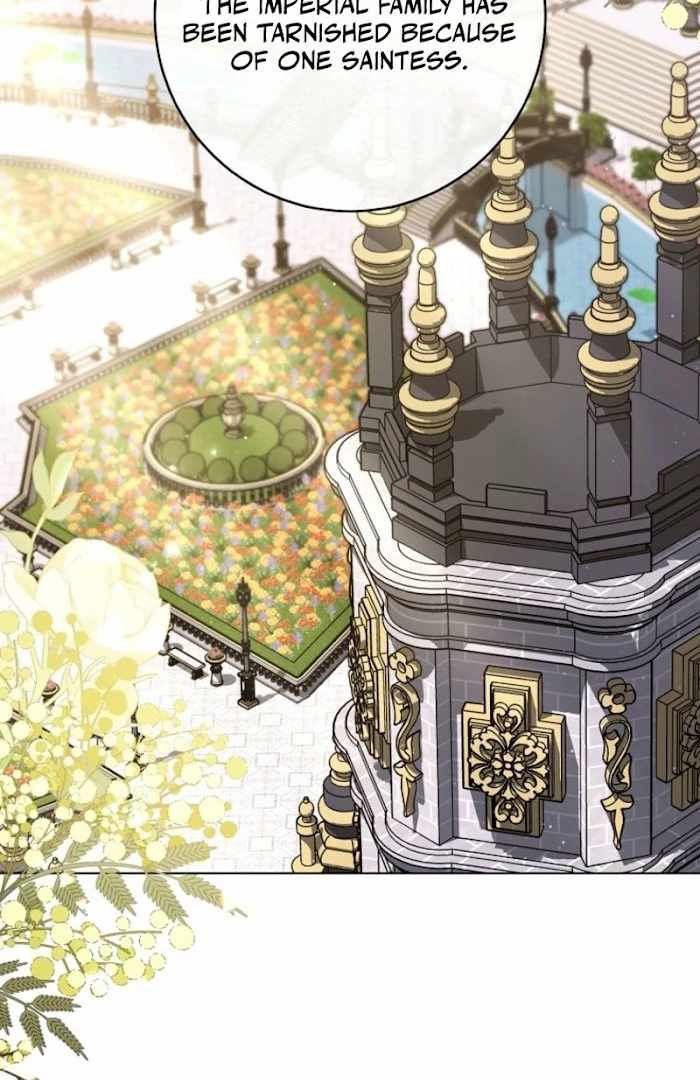 Royal Shop Of Young Lady - Chapter 187 - 51