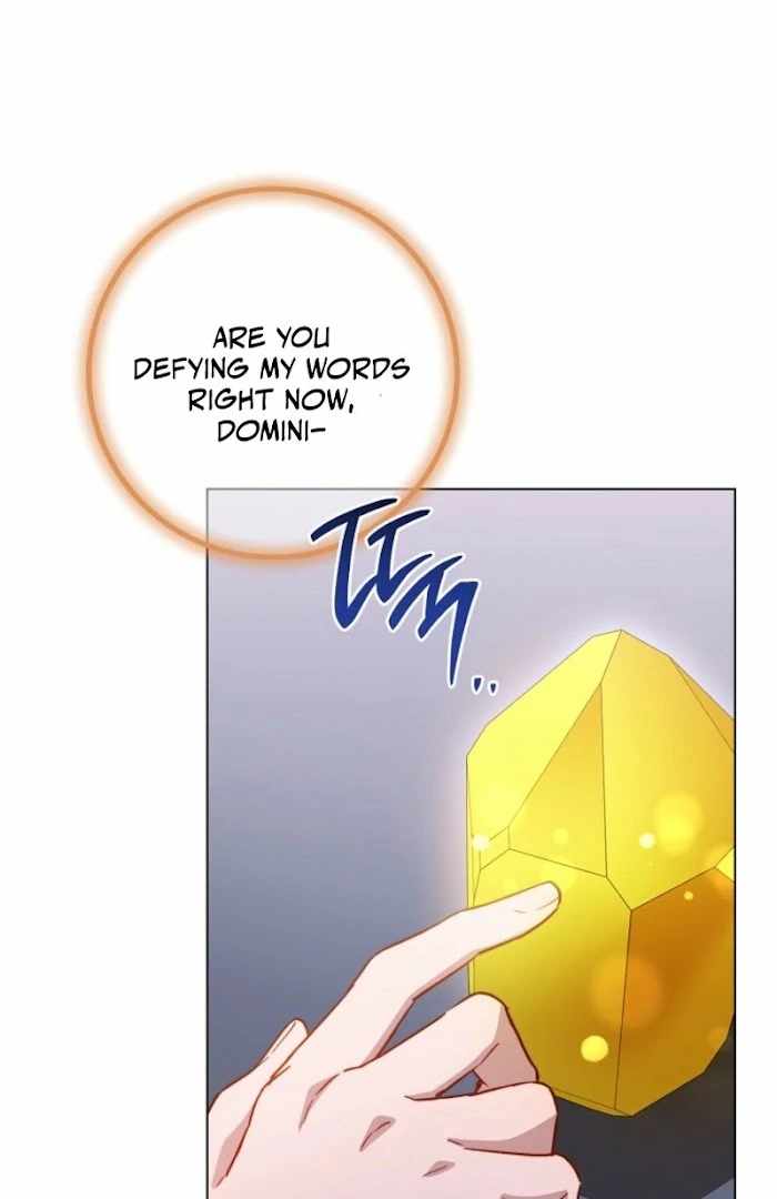 Royal Shop Of Young Lady - Chapter 187 - 111