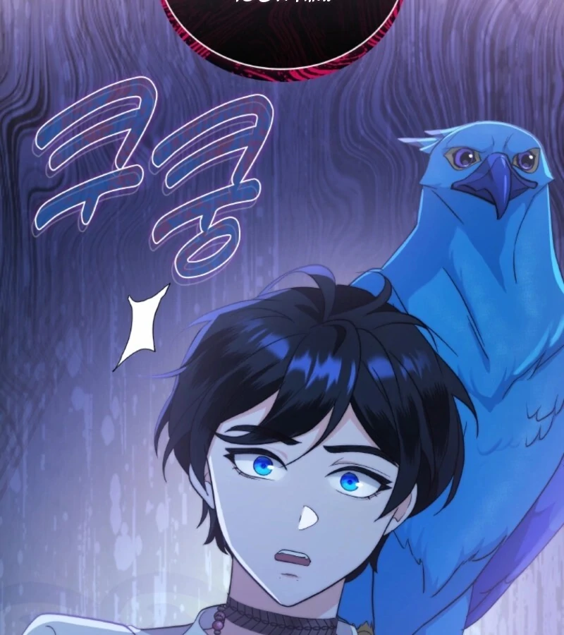 Seabird and the Wolf - Chapter 67 - 96