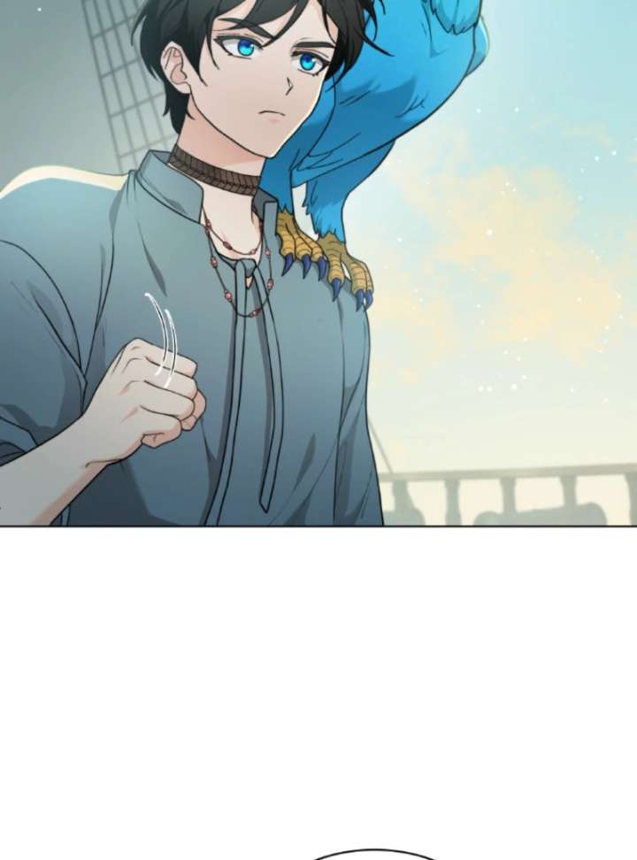 Seabird and the Wolf - Chapter 70 - 84