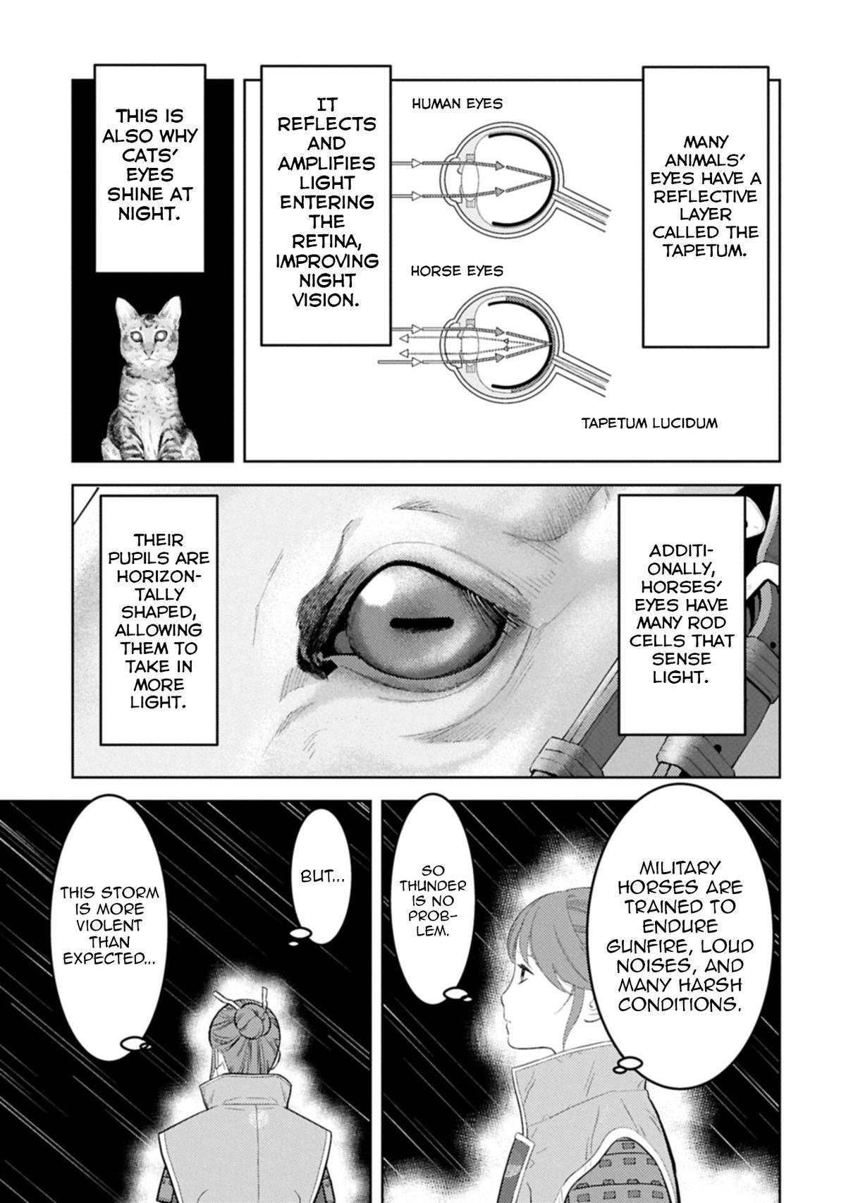 Sengoku Komachi Kuroutan Chapter 97 - Page 20