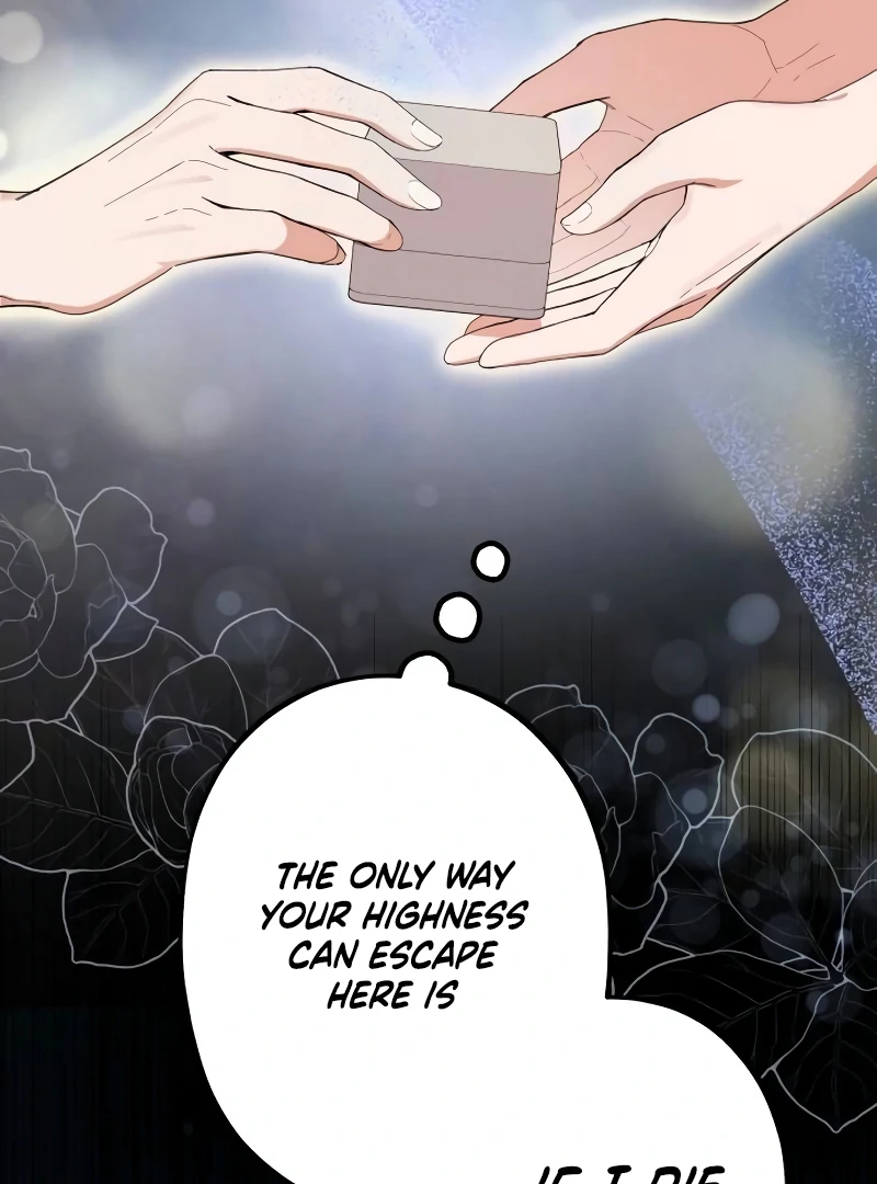 Shadow Princess Chapter 17 - Page 44